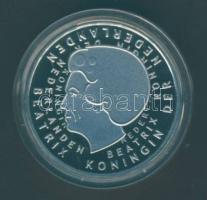 Hollandia 2001. 1G "Gyermekrajz" T:PP Eredeti díszdobozban, tanúsítvánnyal!