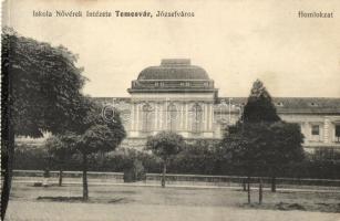 Temesvár, Timisoara; Józsefváros. Iskolanővérek Intézete, homlokzat / nunnery, school, facade - képeslapfüzetből / from postcard booklet (fa)