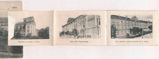 Gyulafehérvár, Alba Iulia; leporellolap 10 képpel, benne: Batthyány könyvtár a várban, Tiszti pavilo...