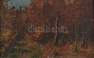 Lengyel jelzéssel: Őszi erdő. Olaj, karton, keretben, 23×36 cm