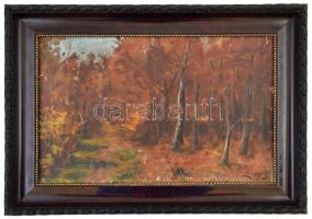 Lengyel jelzéssel: Őszi erdő. Olaj, karton, keretben, 23×36 cm