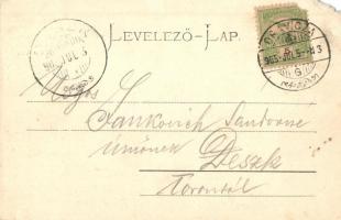 1905 Oravicabánya, Oravita; Kneipp gyógyintézete. Kiadja Weisz Félix / Kneipp'sche Heilanstalt ...