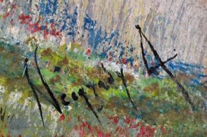 Neogrády jelzéssel: Libalegeltetés. Olaj, vászon, foltos, sérült keretben, 32×41 cm