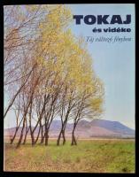 Szelényi Károly: Tokaj és vidéke. Táj változó fényben. Lázár István bevezetőjével. Bp., 1981, Corvina. Kiadói egészvászon-kötés, kiadói papír védőborítóban.