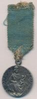 ~1930-1940. "Szűz Szt. Margit / Patrona Hungariae" fém vallási érem csokorszalagon (25,5mm...