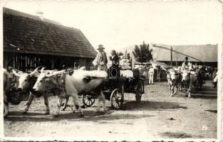 Székely lakodalom wedding