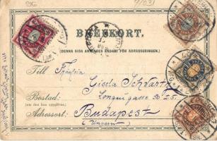 1900 Göteborg, Norra och södra hamngatorna / street, tram, bridge (EK)