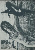 1980 Féner Tamás (1938-): Tükörrepülés c. fotókiállítás katalógusa, benne egy aláírt fotóval, 10x14 ...