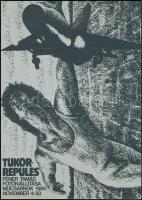 1980 Féner Tamás (1938-): Tükörrepülés c. fotókiállítás katalógusa, benne egy aláírt fotóval, 10x14 ...