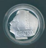 Hollandia 2003. 25c Ag "1 éves az Euro" T:PP Díszdobozban, tanúsítvánnyal!