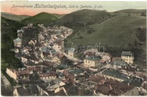 Kaltenleutgeben, general view, P. Ledermann