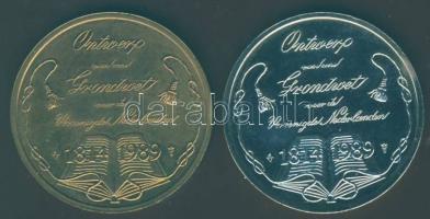 Hollandia 1989. "175 éves az Alkotmány" Ag + fém emlékérem párban T:BU Eredeti díszdobozba...