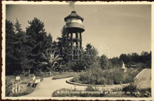 Kolozsvár, Botanikus kert / Botanical Garden, vissza So. Stpl
