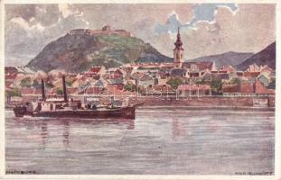 Hainburg an der Donau, General view, castle, steamship, D.D.S.G. postcard, s: Schmidt