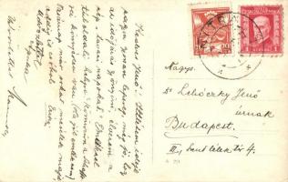 Körmöcbánya, Kremnitz, Kremnica; Villa Schafferei környéke / villa surroundings. photo