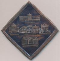 NDK 1980. "Nemzet Múzeum Berlin 1830-1980" Br emlékplakett (78mm) T:2
GDR 1980. "Nat...