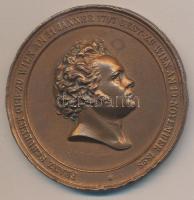 1872. Franz Schubert emlékérem fém replika (63mm) T:2- több ph. 1872. Franz Schubert replica of commemorative medal (63mm) C:VF several edge errors