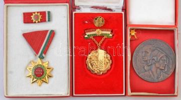 8db-os vegyes magyar kitüntetés tétel a szocializmus időszakából, mindegyik tokban T:2