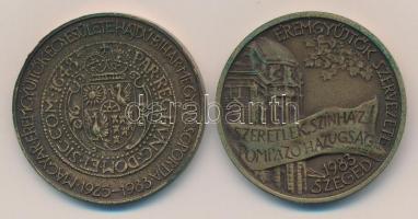 Tóth Sándor (1933-) 1983. "MÉE Hajdú-Bihar Megyei szervezete / II. Rákóczi György" Br emlé...