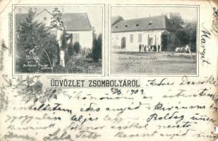 1902 Zsombolya, Hatzfeld, Jimbolia; Bertalan tanár udvara, Leiher Mátyás fűszerüzlete / teachers house, shop. floral (EM)