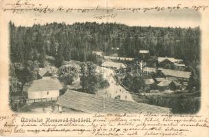 1902 Homoródfürdő, Baile Homorod; (fa)