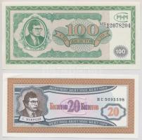 Szovjetunió / Oroszország 1989-1994. 20B + 100B Mavrodi bankjegyek T:I Soviet Union / Russia 1989-1994. 20 Biletov + 100 Biletov Mavrodi banknotes C:UNC