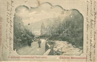 Tatár-hágó, Tatár-szoros, Yablonitsky Pass (Máramaros); Art Nouveau (kis szakadás / small tear)