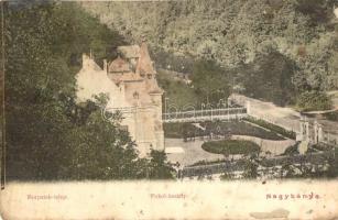 Borpatak-telep, Valea Borcutului (Nagybánya); Pokol-kastély / castle (fa)