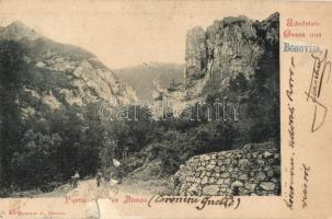 1901 Orsova, Almás-hegység / Muntii Almajului (felszíni sérülés / surface damage)