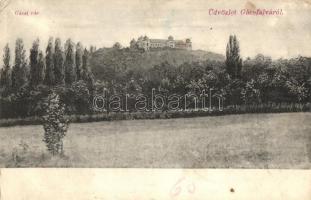 Gácsfalu, Gácsfalva, Stará Halic; Gácsi (Forgách) várkastély. Kiadja a gácsfalvi fogyasztási szövetkezet / Halicsky zámok / castle in Halic (EK)