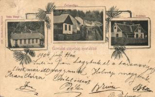 1904 Stájerlak, Steierdorf (Anina); nyaraló, Örömvölgy, Villa Denz, Erdőház. Hollschütz kiadása / villa, valley, forestry house. floral (EB)