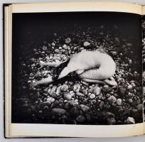 Vegyes könyv tétel, benne lektűr, erotikus irodalom, stb., összesen 9 db