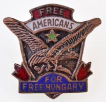 DN Szabad amerikaiak, szabad Magyarországért (Free Americans For Free Hungary) zománcozott fém jelvény (21x20mm) T:2