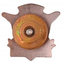 DN "Szabad amerikaiak, szabad Magyarországért (Free Americans For Free Hungary)" zománcozo...