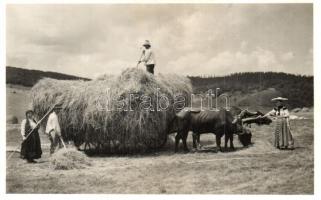 Kalotaszeg, folklór, szénagyűjtés / Transylvanian folklore from Tara Calatei, Vista, gathering hay (hiányzó rész / missing part)