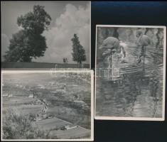 cca 1937 Dulovits Jenő (1903-1972) budapesti fotóművész hagyatékából 3 db pecséttel jelzett vintage fotó, 9x12 cm