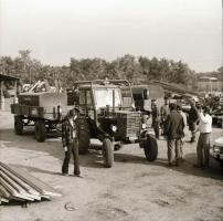 cca 1966 Velence, Agárd - 33 db vintage negatív Sinka Antal (?-?) hagyatékából, aki a velencei AGROK...