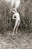 cca 1978 Velence feliratú tasakban aktfotó sorozat a nádasok rejtekén, 29 db vintage negatív, 24x36 ...