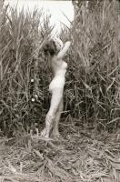 cca 1978 Velence feliratú tasakban aktfotó sorozat a nádasok rejtekén, 29 db vintage negatív, 24x36 ...