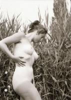 cca 1978 Velence feliratú tasakban aktfotó sorozat a nádasok rejtekén, 29 db vintage negatív, 24x36 ...