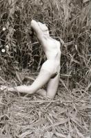 cca 1978 Velence feliratú tasakban aktfotó sorozat a nádasok rejtekén, 29 db vintage negatív, 24x36 ...