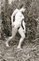 cca 1978 Velence feliratú tasakban aktfotó sorozat a nádasok rejtekén, 29 db vintage negatív, 24x36 ...