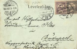 1902 Győr, Radó tér, kiadja Röszler Károly (EK)