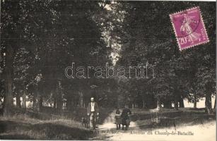 Le Neubourg, Avenue du Champ-de-Bataille / avenue