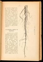 Bakay Nándor: Kendertermelés és kikészítés. Bp.,1892, Pesti Könyvnyomda Rt., IV+192+2 p. Kiadói aran...