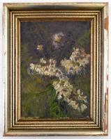 Mednyánszky jelzéssel: Gesztenyevirág. Olaj, karton, 34×23 cm