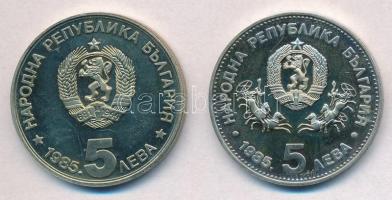 Bulgária 1985. 5L Cu-Ni (2xklf) emlékkiadás T:PP ujjlenyomat
Bulgaria 1985. 5 Leva Cu-Ni (2xdiff) c...