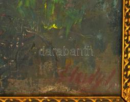 Élesdy István (1912-1987): Halászbástya. Olaj, vászon , jelzett, keretben, 50×70 cm