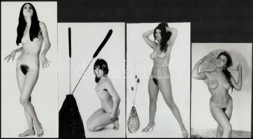 cca 1971 Privát portfóliók szolidan erotikus felvételei, 10 db vintage negatív (24x36 mm), + 4 db vintage fotó (nincs kapcsolat a negatív és pozitív képek között), 17,5x7,5 cm és 12,5x8 cm között