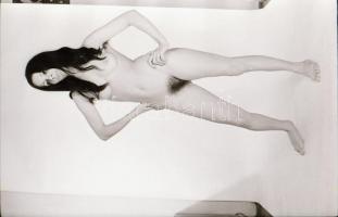 cca 1971 Privát portfóliók szolidan erotikus felvételei, 10 db vintage negatív (24x36 mm), + 4 db vi...